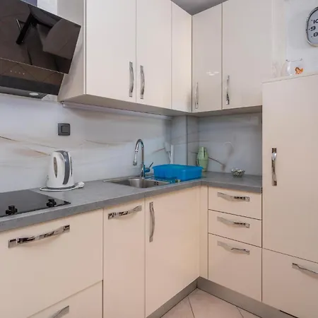 In Bogovici With Kitchen